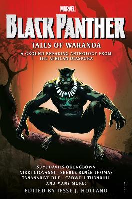 Black Panther (Paperback)