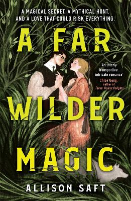 A FAR WILDER MAGIC PB