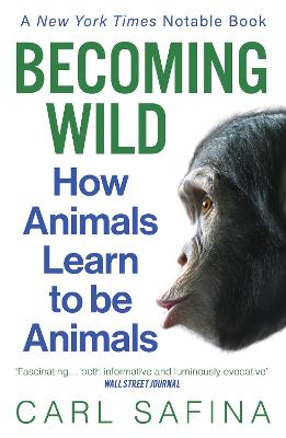 Becoming Wild (Paperback)