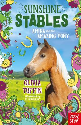Sunshine Stables 5: Amina And The Amazing Pony (Paperback)
