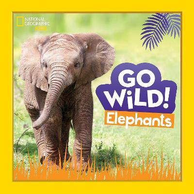 GO WILD ELEPHANTS PB