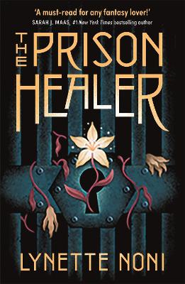 The Prison Healer (Paperback)