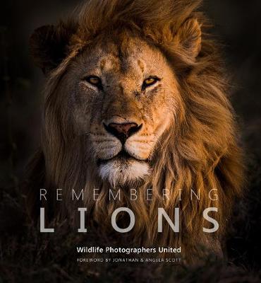 Remembering Lions (Hardcover)