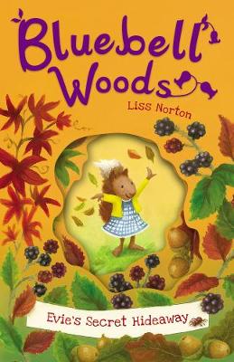 Evie's Secret Hideaway (Paperback)