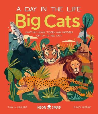 A Day in the Life: Big Cats (Hardcover)