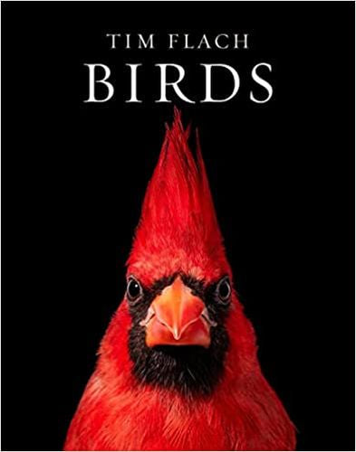 Birds (Hardcover)