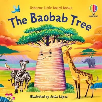 Baobab Tree BB