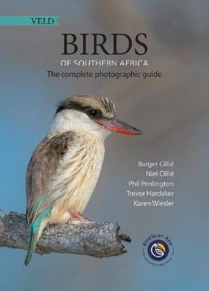 VELD Birds of Southern Africa: The Complete Photographic Guide (English Edition) (Paperback)