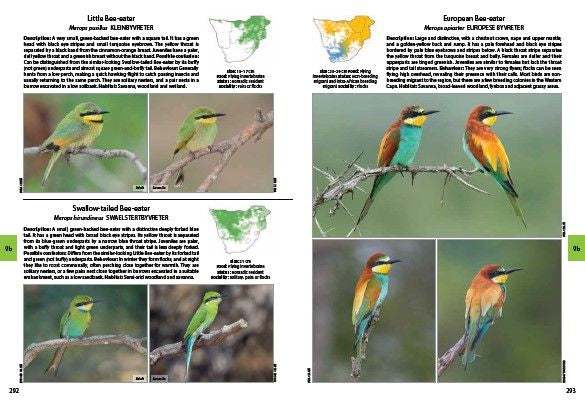 VELD Voels van Suider-Afrika: Die Volledige Fotogids