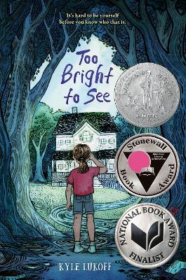 Too Bright to See (Paperback)