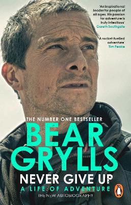 Never Give Up (Paperback)