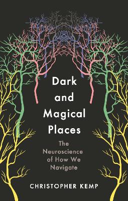 DARK AND MAGICAL PLACES HB