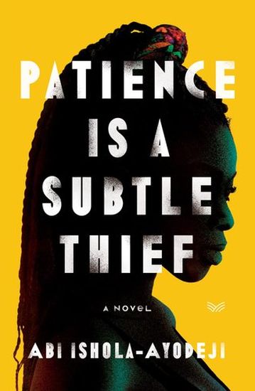 Patience Is a Subtle Thief (Paperback)