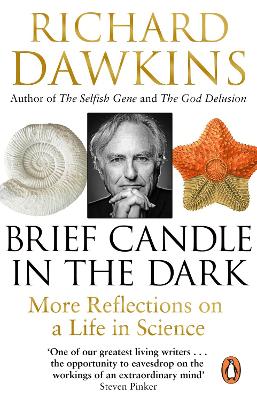 Brief Candle In The Dark