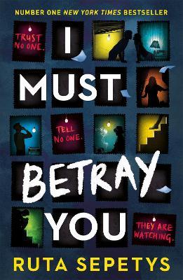 I Must Betray You (Paperback)
