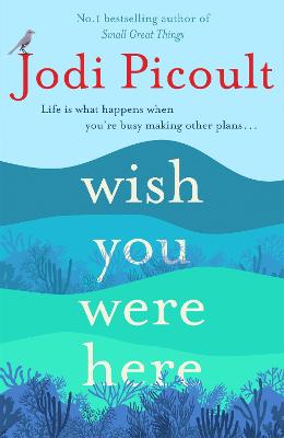 Wish You Were Here (Paperback)