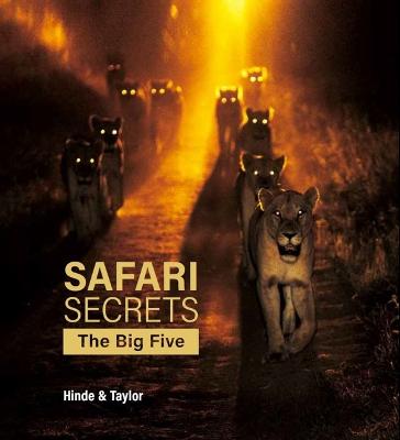 Safari Secrets: The Big Five (Paperback)