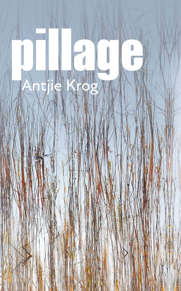 Pillage: English Edition (Paperback)