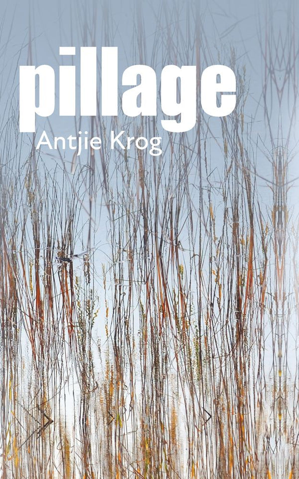 Pillage: English Edition (Paperback)