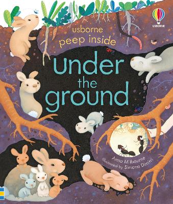 Usborne Peep Inside: Under The Ground