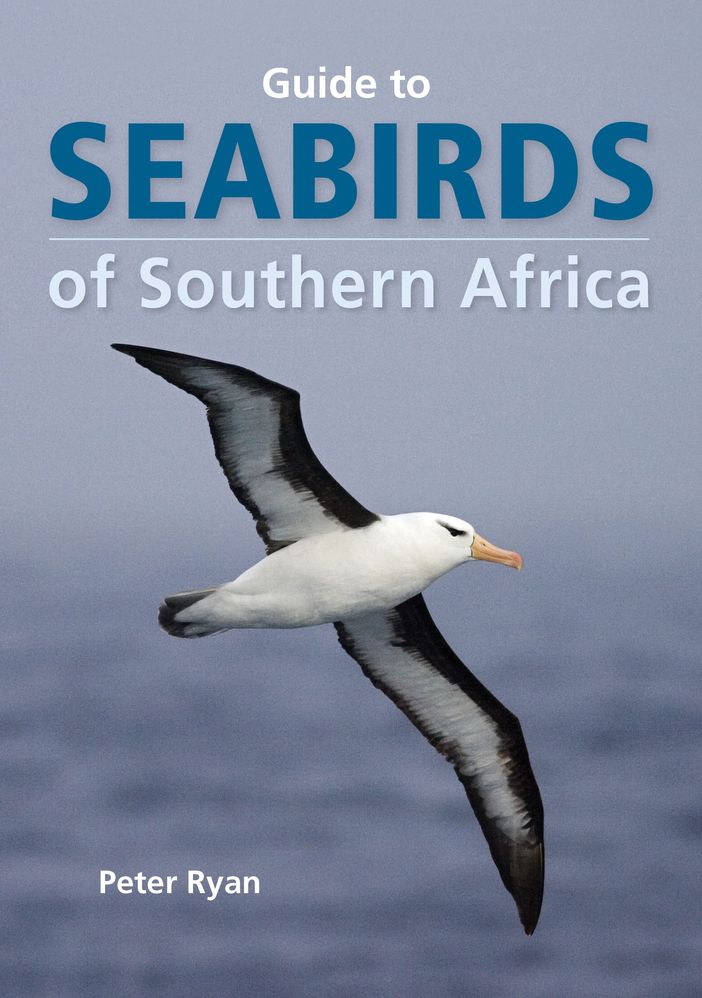 Guide To Seabirds Of Southern Africa: 2nd Revised Edition (Paperback)