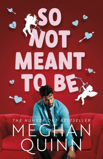 So Not Meant To Be (Paperback)