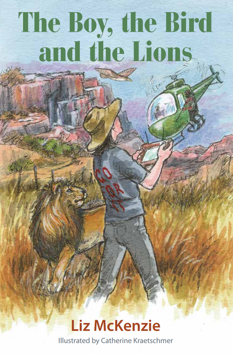 The Boy, The Bird And The Lions (Paperback)