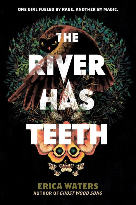 The River Has Teeth (Paperback)