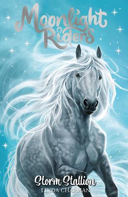 Moonlight Riders 2: Storm Stallion (Paperback)