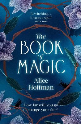 The Book of Magic (Paperback)