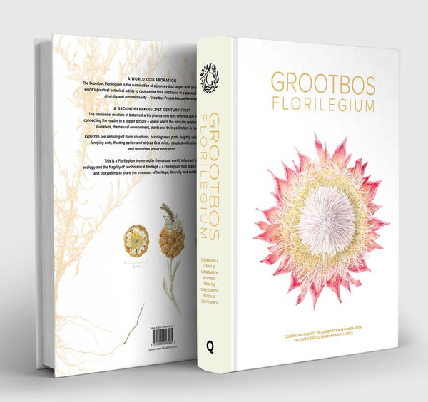 The Grootbos Florilegium: Celebrating 25 Years of Conservation in Fynbos From Cape Floristic Kingdom, South Africa (Hardcover)