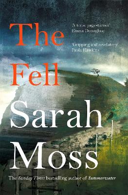 The Fell (Paperback)
