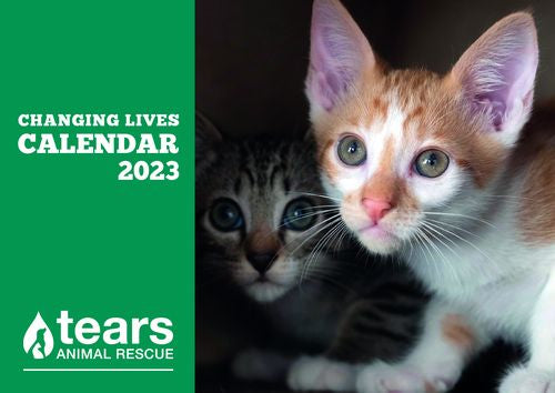 Changing Lives: Tears 2023 (Calendar)