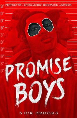 Promise Boys (Paperback)