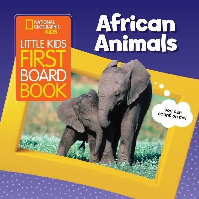 Little Kids First Board Book African Animals (Little Kids First Board Book)
