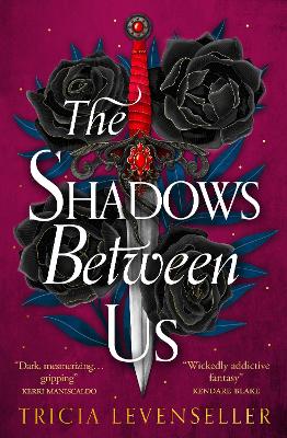 The Shadows Between Us (Paperback)