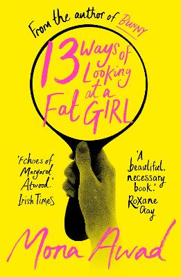 13 Ways of Looking at a Fat Girl (Paperback)