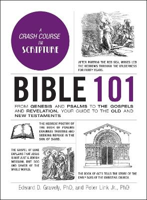 Bible 101 (Hardcover)