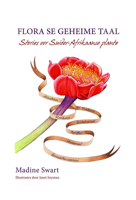 Flora se Geheime Taal: Stories oor Suider-Afrikaanse Plante (Paperback)