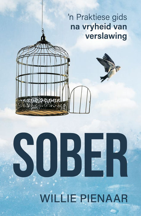 Sober: 'n Praktiese gids na vryheid van verslawing (Paperback)