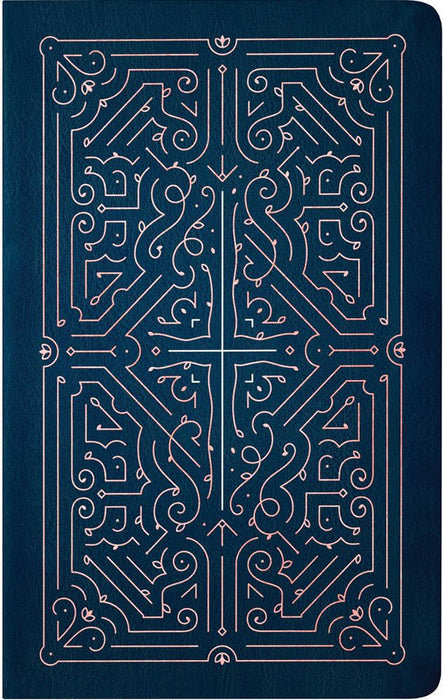 NLT Filament Bible, Blue