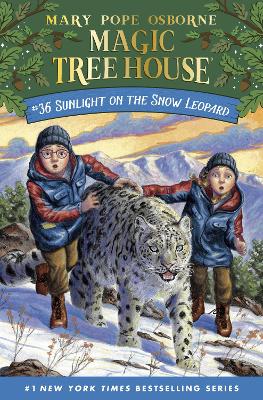 Sunlight On The Snow Leopard (Paperback)