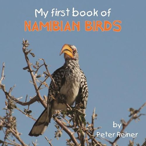 My First Book of Namibian Birds