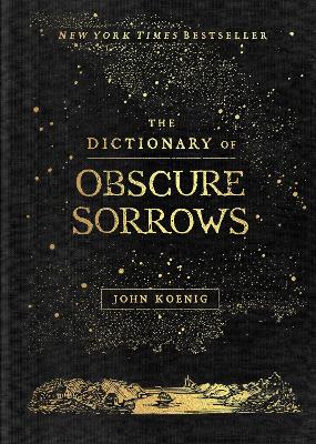 The Dictionary of Obscure Sorrows (Hardcover)