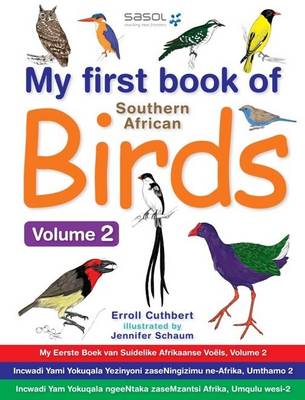 My First Book Of Southern African Birds: Volume 2 (Paperback)