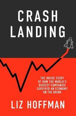 Crash Landing: The Inside Story Of How The World's Biggest Companies Survived An Economy On The Brink (Trade Paperback)