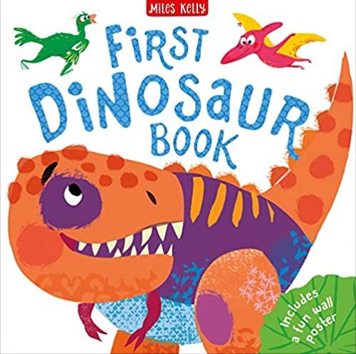 First Dinosaur Book (Hardcover)