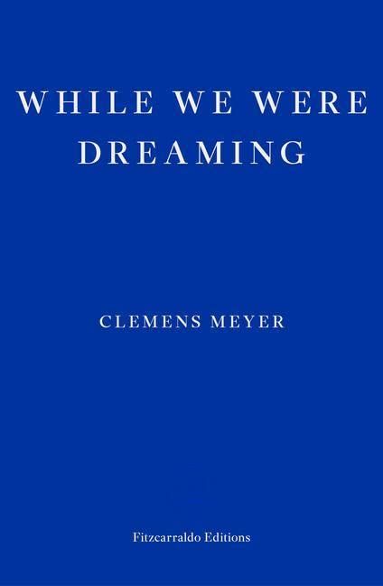 While We Were Dreaming (Trade Paperback)