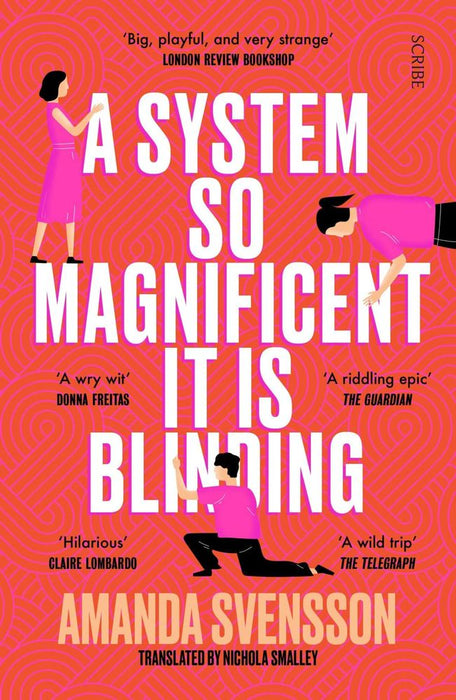 A System So Magnificent It Is Blinding (Paperback)