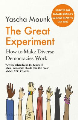 The Great Experiment: How to Make Diverse Democracies Work (Paperback)
